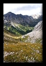 foto (9)